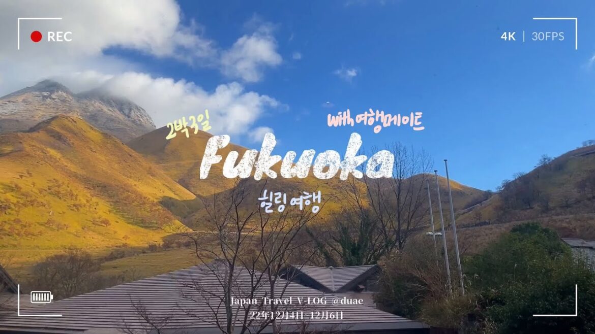 2박3일 후쿠오카여행 V-LOG🇯🇵 여행메이트와 첫 해외여행 • 크리스마스마켓 • 후쿠오카타워 • 유후인