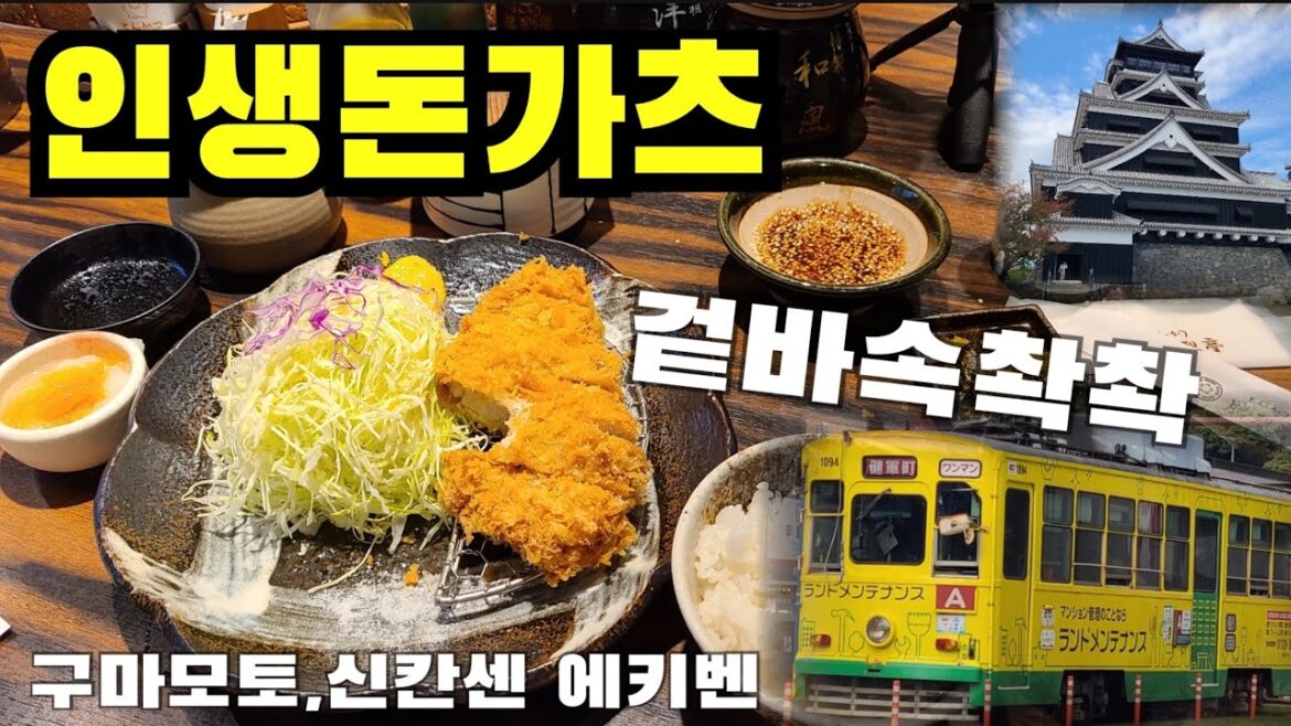 구마모토여행 맛집 카츠레츠테이 흑돼지돈가츠  구마모토성 산책 신칸센에서 에끼벤먹기 트램1일권 후쿠오카 여행중