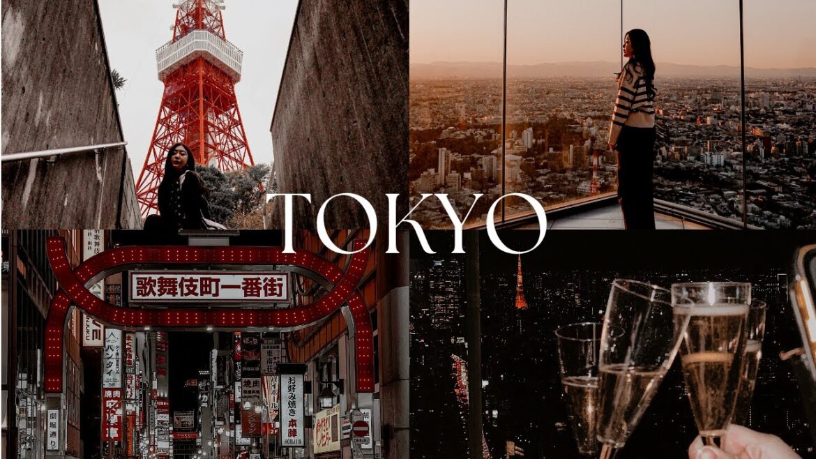 TOKYO, JAPAN TRIP 2022 | 东京之旅 | SHIBUYA SKY | SHINJUKU | SHIBUYA | TOKYO TOWER | SHINI LOLA