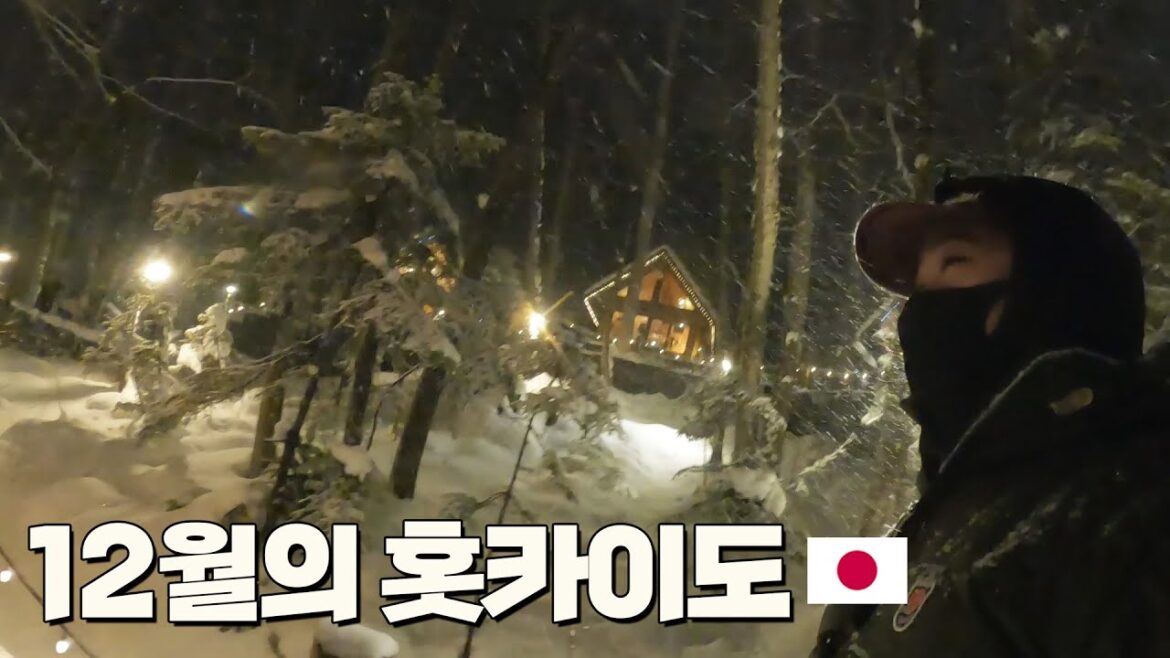 가성비 '갑' 비에이 후라노마을 폭설 훗카이도 버스투어 - 일본(b)