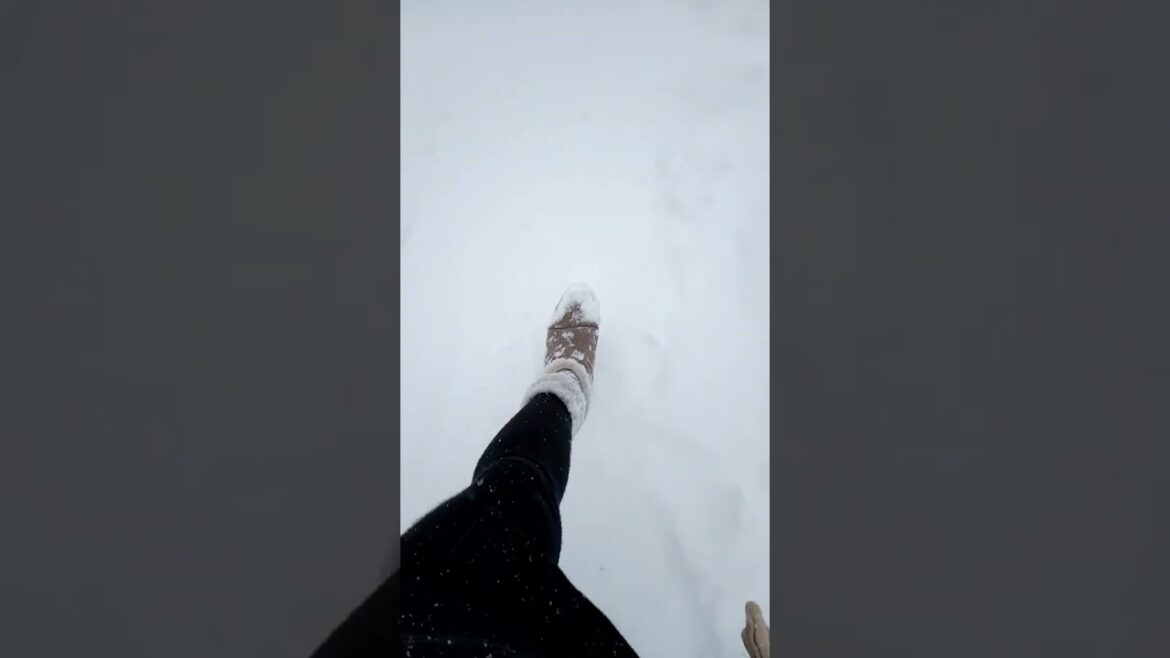 Snow Mountain in Japan #Hakuba #Nagano #Short #Shorts Snow Mountain in Japan #Hakuba #Nagano #Short #Shorts