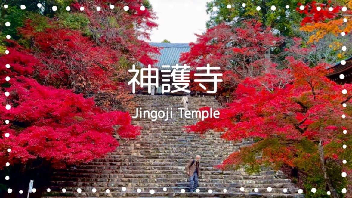 【京都vlog】高尾山 「神護寺」の紅葉🍁Japanese garden in Kyoto. Autumn leaves of Jingoji Temple. 【京都vlog】高尾山 「神護寺」の紅葉🍁Japanese garden in Kyoto. Autumn leaves of Jingoji Temple.