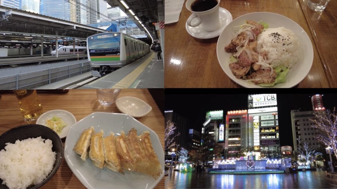 Cheap Local Train × Authentic Food Trip from Tokyo to Sendai Cheap Local Train × Authentic Food Trip from Tokyo to Sendai
