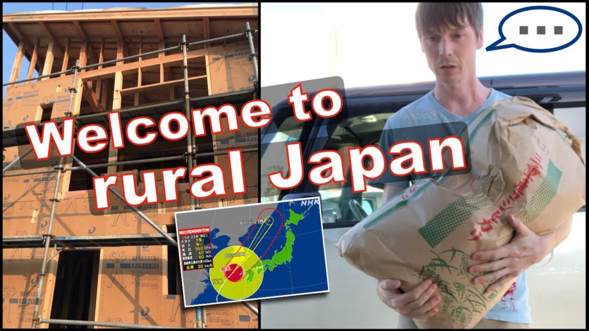 We built a house in small-town Japan: construction wrap-up, home tour, rural Japanese life!
