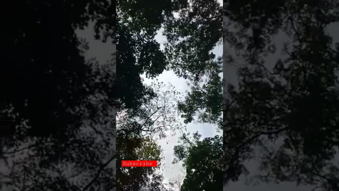 top places 10 😜 travel places in road 😜  #shorts #vairalvideo #travelworld 😍😍