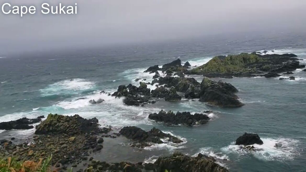 Hokkaido10thVlog: Rebun Island and Rishiri Island