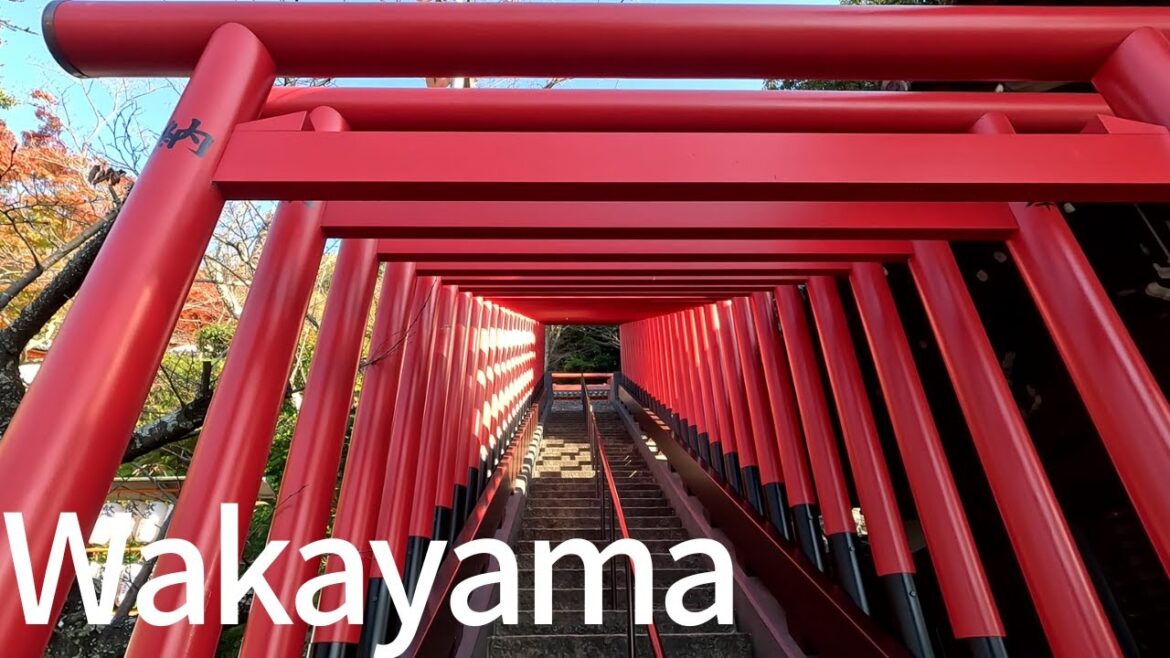 【Japan】[Wakayama] Sweaty Wakayama Trip Part 1