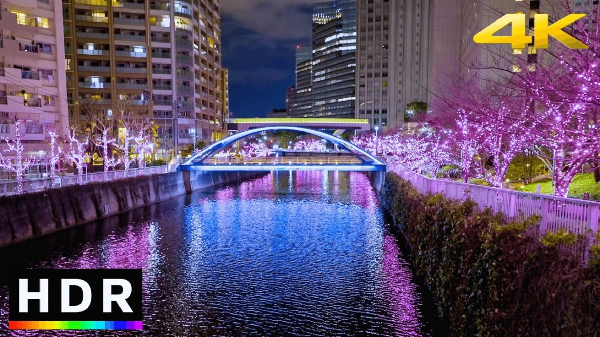 Meguro River Tokyo Christmas Lights 2022 // 4K HDR