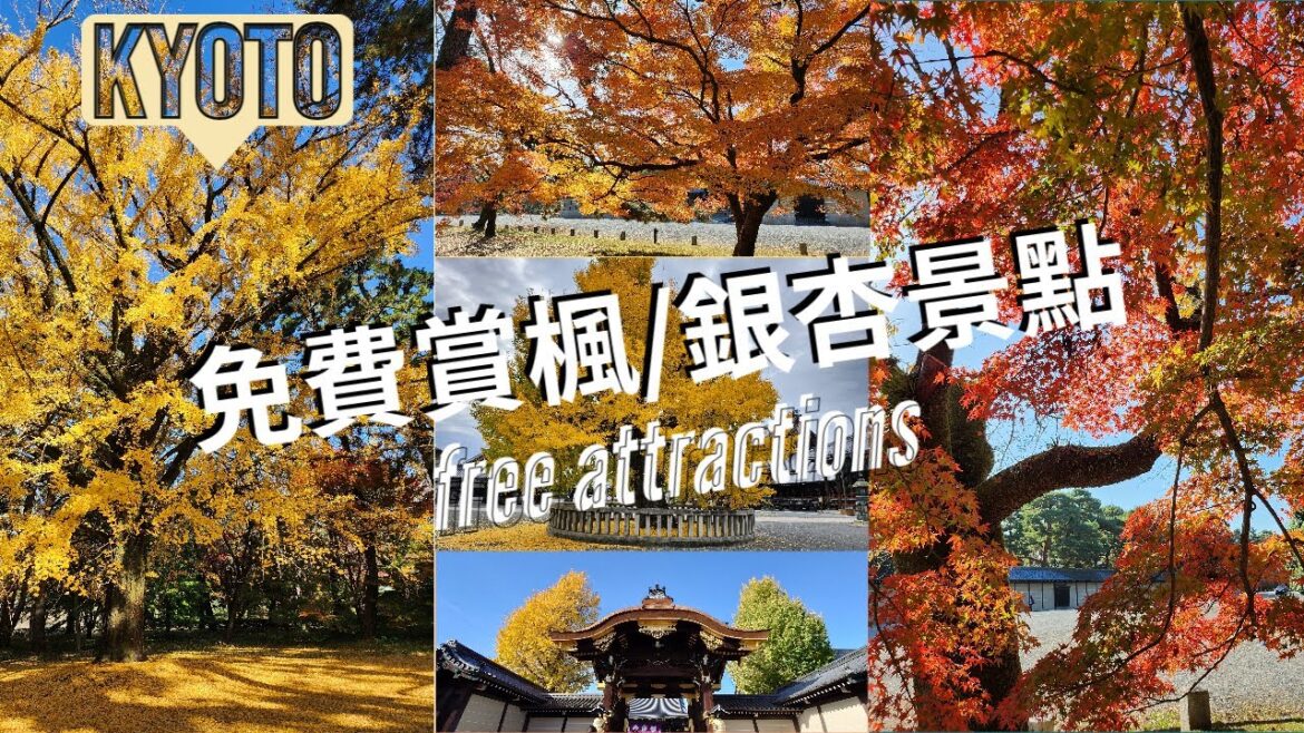 [Kyoto] free attractions 東本願寺 Higashi Honganji & 京都御苑 Kyotogyoen & 西本願寺 Nishi Honganji