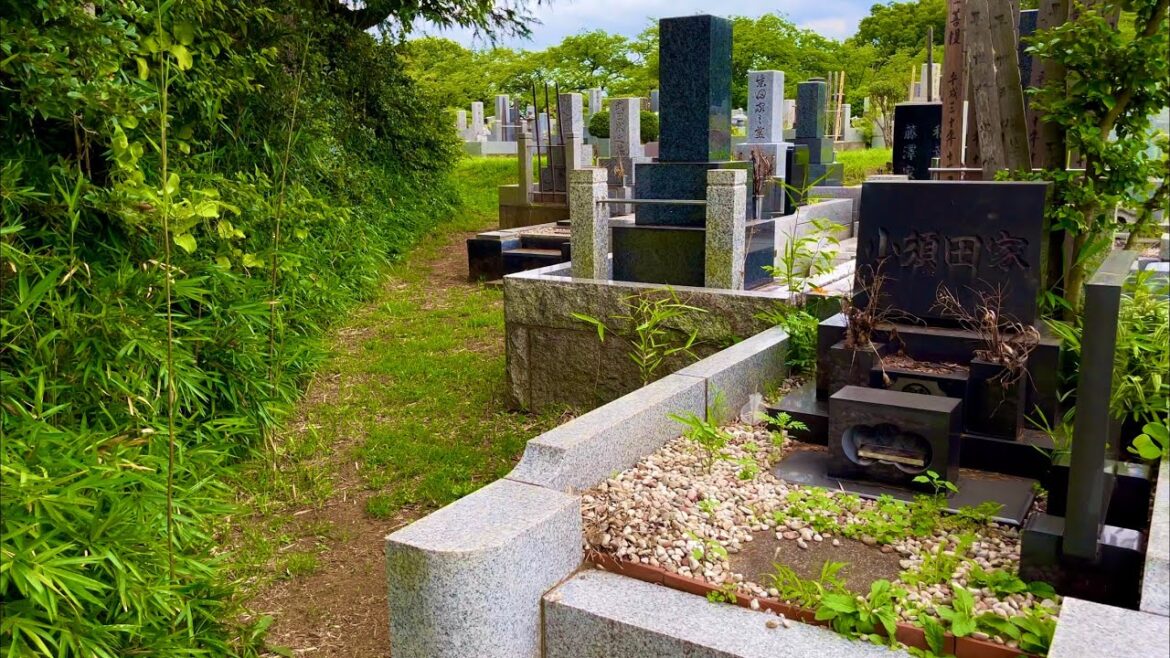 [JAPAN/Kanagawa]Midorigaoka Cemetery walking scenery[Kawasaki/Takatsu]