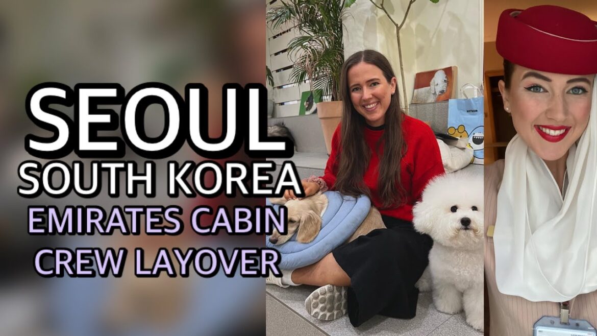 24 HOUR LAYOVER IN SEOUL – SOUTH KOREA | DOG & CAT CAFES | Emirates Cabin Crew Flight Attendant Vlog 24 HOUR LAYOVER IN SEOUL - SOUTH KOREA | DOG & CAT CAFES | Emirates Cabin Crew Flight Attendant Vlog