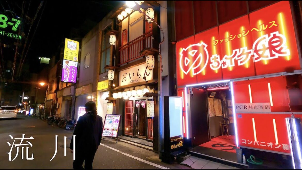 【広島】流川・新天地散歩/Hiroshima Nagarekawa Shintenchi【4K】