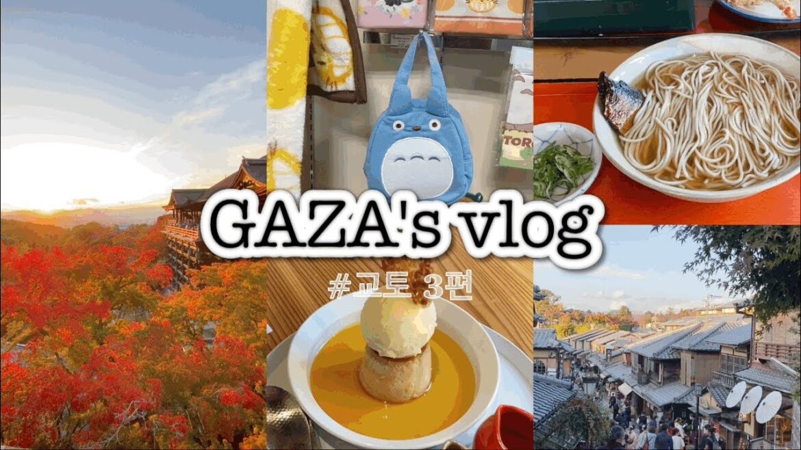 [vlog] 교토 숨겨진 비.밀. 돌담길을 지나 자유여행 즐기기 !! 나만따라와 :: 원조 청어소바 :: 산넨자카 :: 기온거리 :: 기요미즈데라