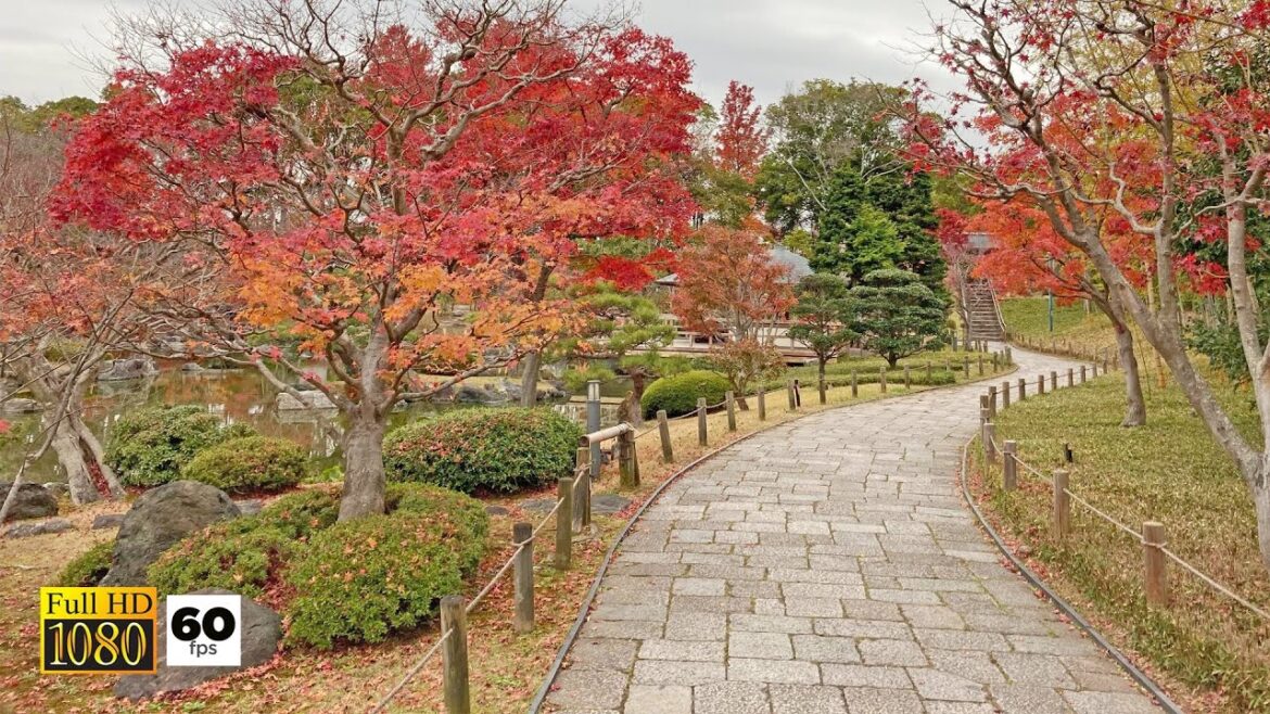 JAPAN TRAVEL | Happiness of the village garden a traditional Japanese garden in autumn season JAPAN TRAVEL | Happiness of the village garden a traditional Japanese garden in autumn season