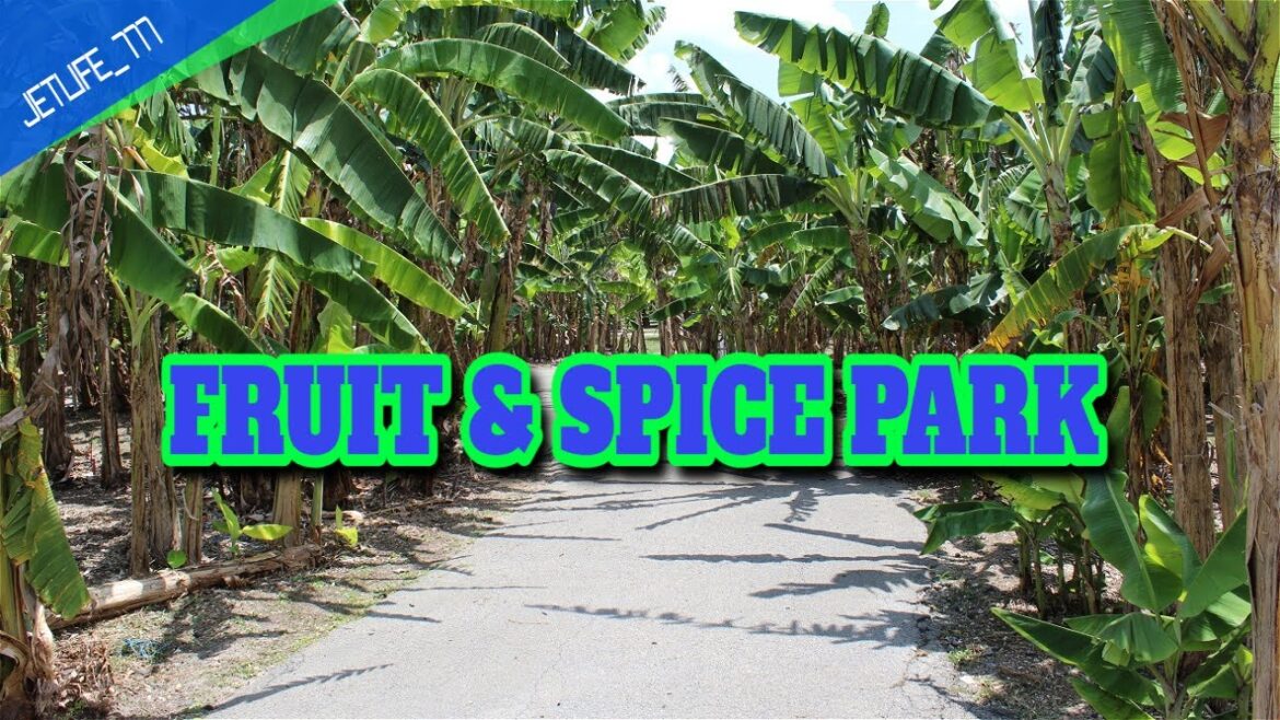 Who would of thought this existed in Florida (Fruit & Spice Park)(4k) Who would of thought this existed in Florida (Fruit & Spice Park)(4k)