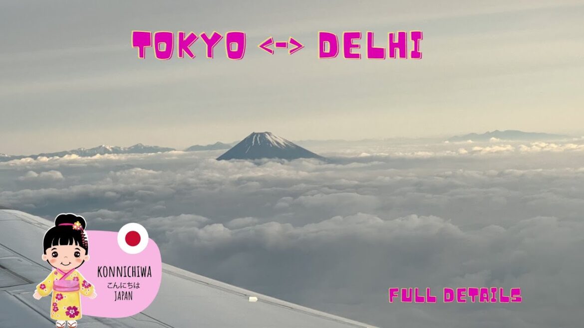 Tokyo to Delhi full Travel Details | My experience