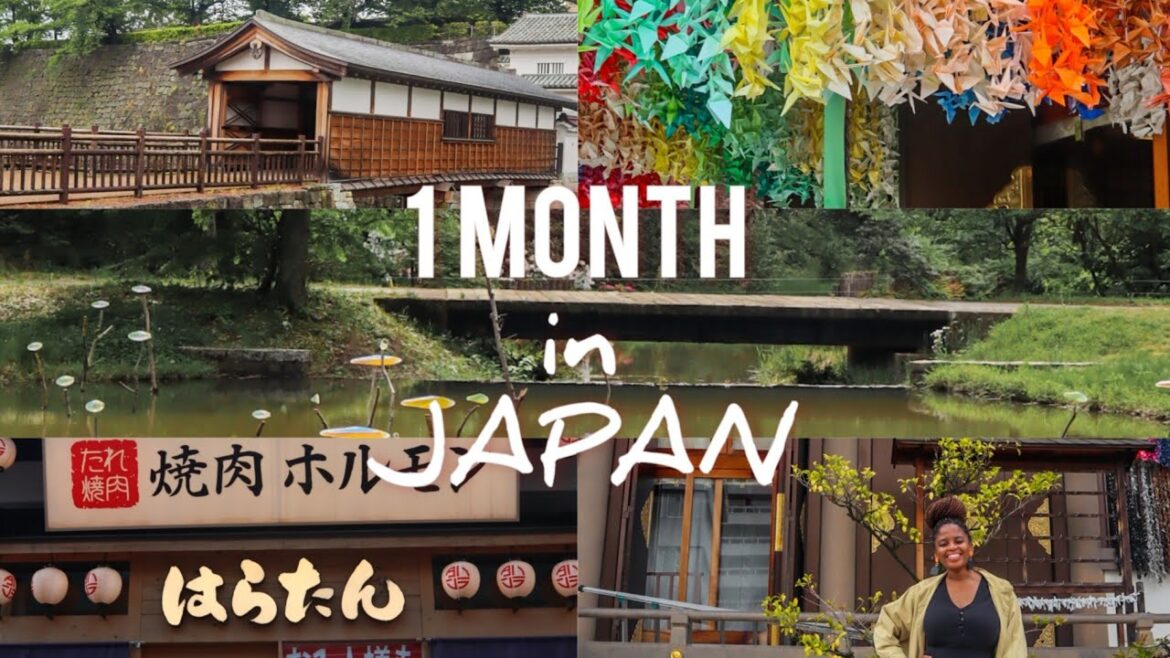 A MONTH IN JAPAN| SOUTH AFRICAN IN JAPAN | SOUTH AFRICAN ABROAD | BEER, DINNER, CRAFTERS MARKET A MONTH IN JAPAN| SOUTH AFRICAN IN JAPAN | SOUTH AFRICAN ABROAD | BEER, DINNER, CRAFTERS MARKET