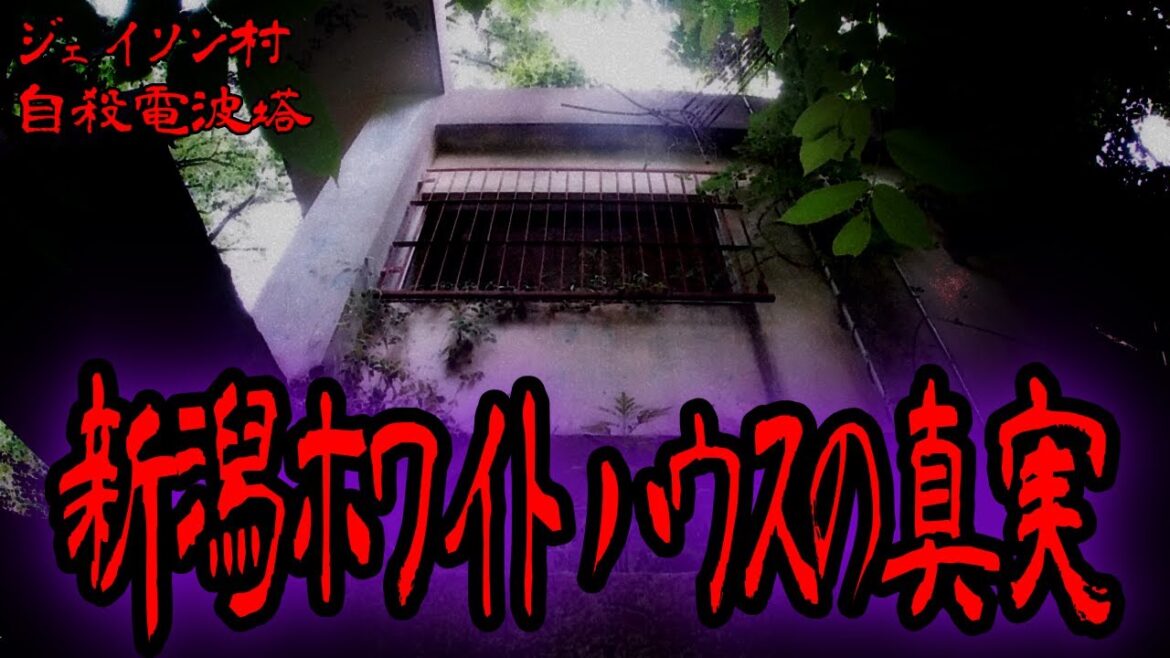 新潟【ホワイトハウス】の真実 2020年現在まとめ ジェイソン村からブラックハウスへ 嘘か誠か 新潟心霊スポット これが新潟だ This is NIIGATA 新潟【ホワイトハウス】の真実 2020年現在まとめ ジェイソン村からブラックハウスへ 嘘か誠か 新潟心霊スポット これが新潟だ This is NIIGATA