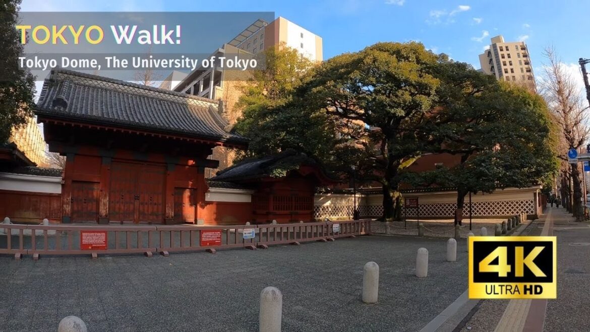 【4K/60fps】Tokyo Walk Tour From Korakuen to The University of Tokyo Feb 2022!