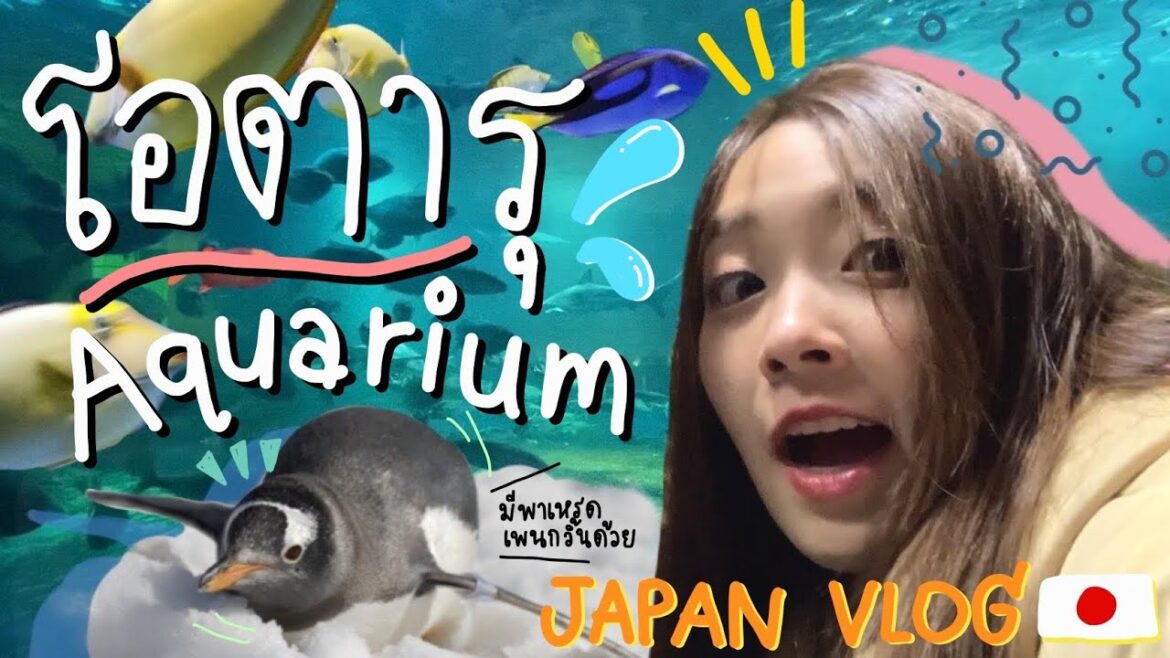 PUIMEK IN JAPAN | พาไปเที่ยวอควาเรี่ยมที่เมืองโอตารุ 🐳.. Let's go to OTARU Aquarium! PUIMEK IN JAPAN | พาไปเที่ยวอควาเรี่ยมที่เมืองโอตารุ 🐳.. Let's go to OTARU Aquarium!