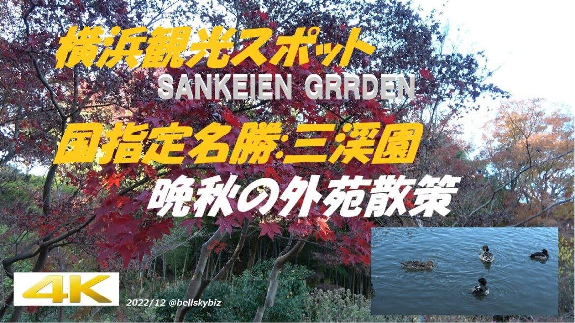 横浜観光スポット  SANKEIEN GRRDEN　国指定名勝:三渓園 晩秋の外苑散策　【4K】　@BellskyBiz