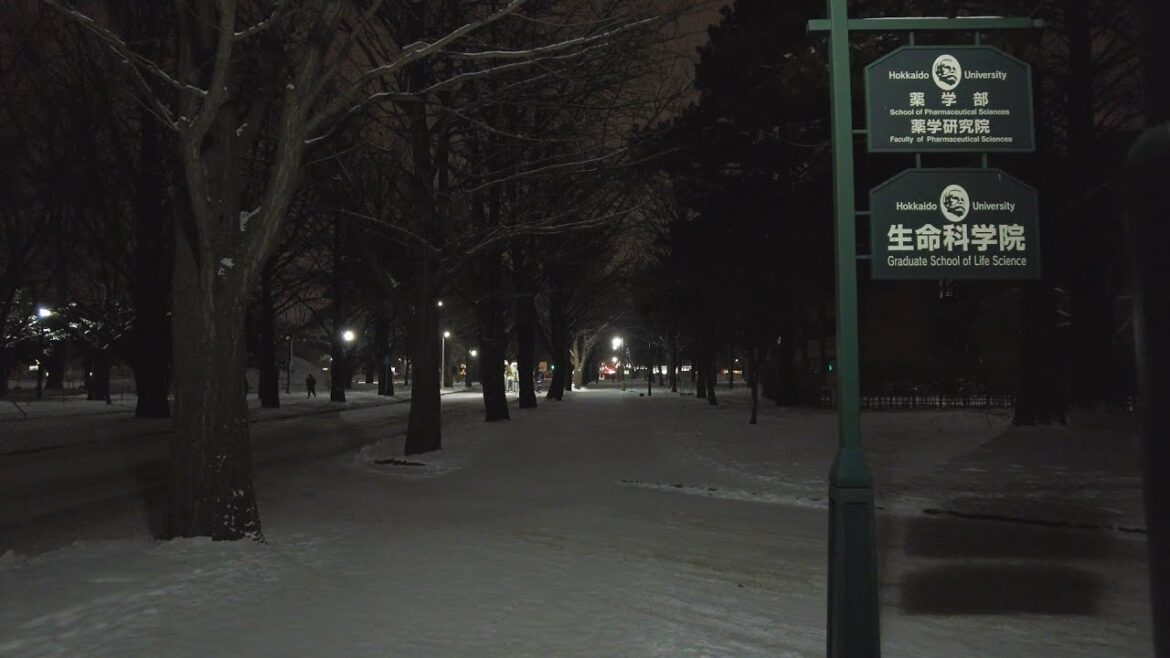 【4K】2022 日本 北海道 札幌 北区 北海道大学 キャンパス 冬の散策【Binaural Audio】
