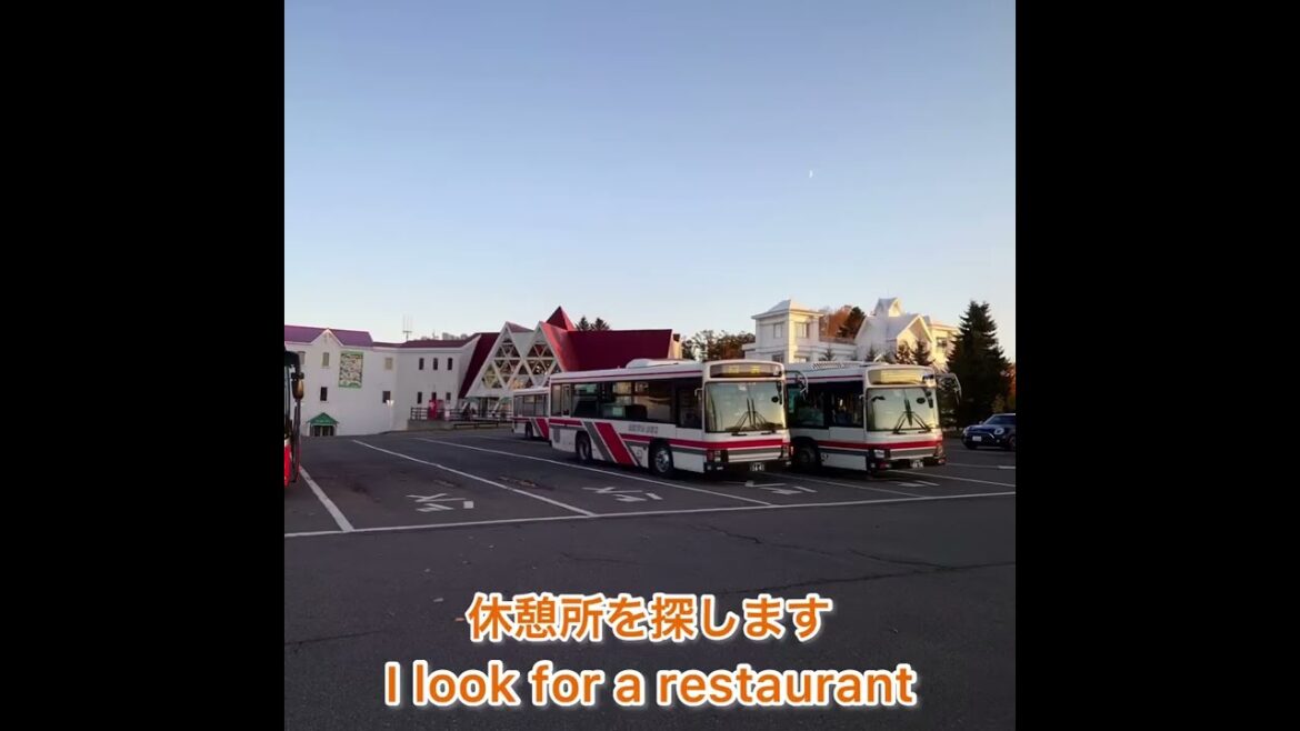 short!『ひつじ』に会える‼︎札幌の夜景も一望⭐︎羊ヶ丘展望台　北海道旅行おすすめ♪ Sapporo Hitsujigaoka Observatory  .Hokkaido,Japan