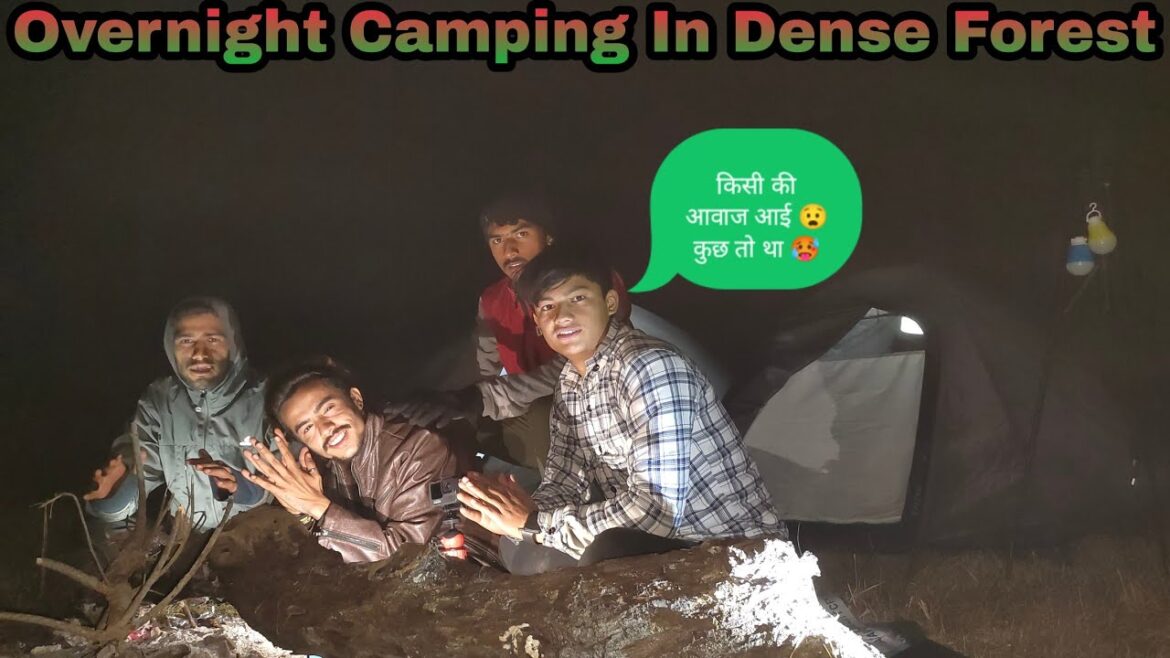 Night Camping In Winter Dense Forest | Camping In Uttarakhand | कुछ तो आया था 🙄