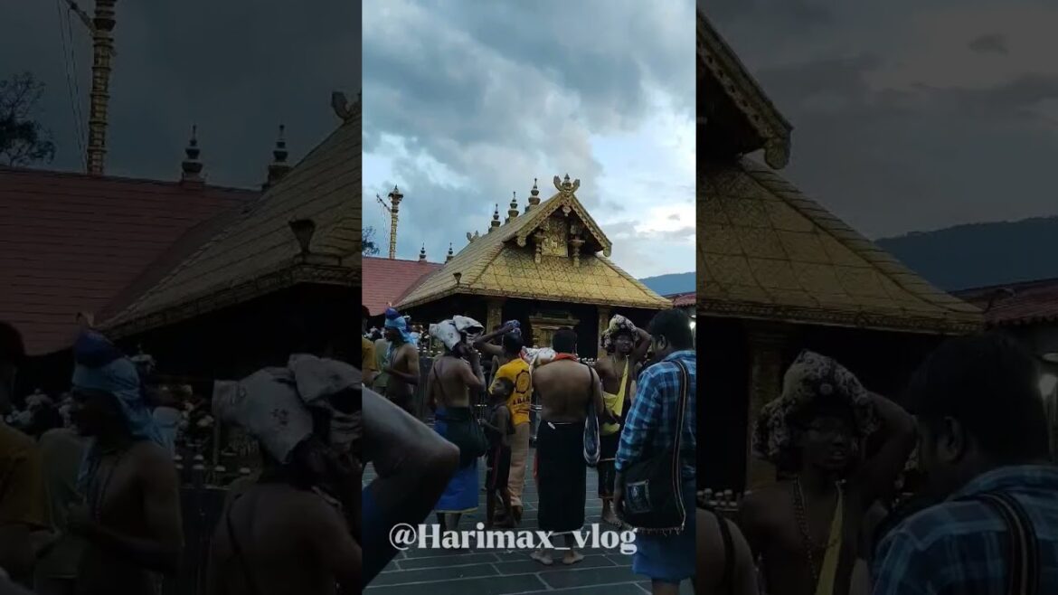 18 Padi🛕| Saranam Ayyappa |Sabarimalai | Kerala🌴 #shorts #sabarimala #ayyappa #samisaranam #kerala