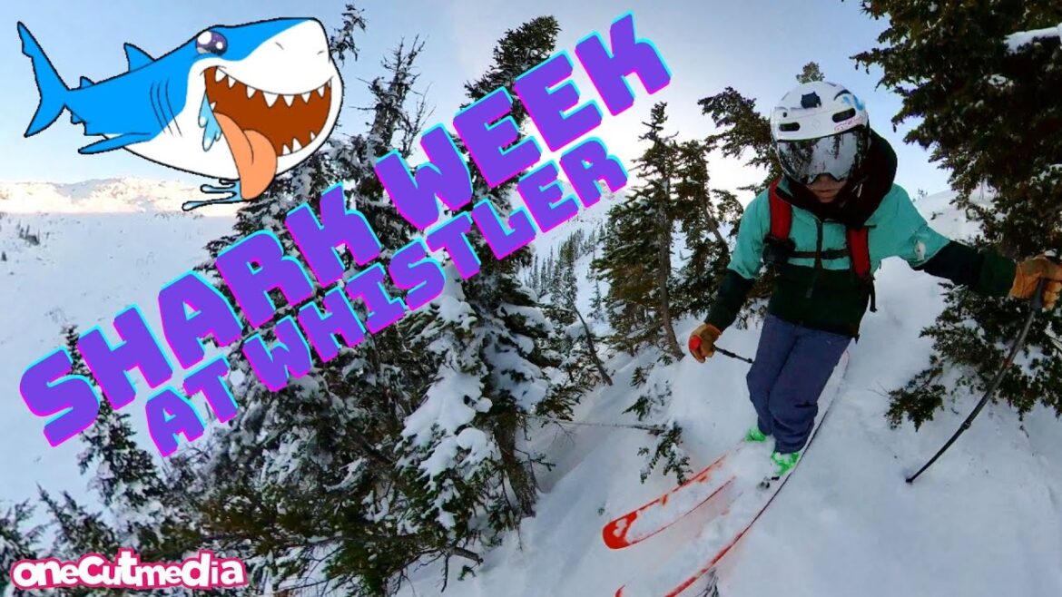 WHISTLER POWDER- BEST SHARK WEEK EVER! onecutmedia WHISTLER POWDER- BEST SHARK WEEK EVER! onecutmedia
