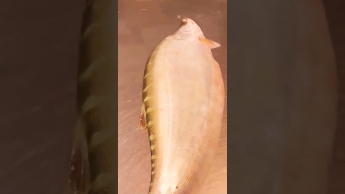 Fish Market||Big Fishes||Bd Fish Market||Bangladeshi Fish Market||Holesell Fish Market||Fish Bazar