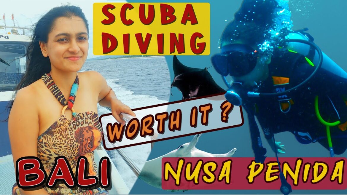 SCOOBA DIVING in most BEAUTIFUL ISLAND Nusa Penida 🏖⛵️🛳🤿Bali  Trip Ep 4 |  Best Bali Travel vlog