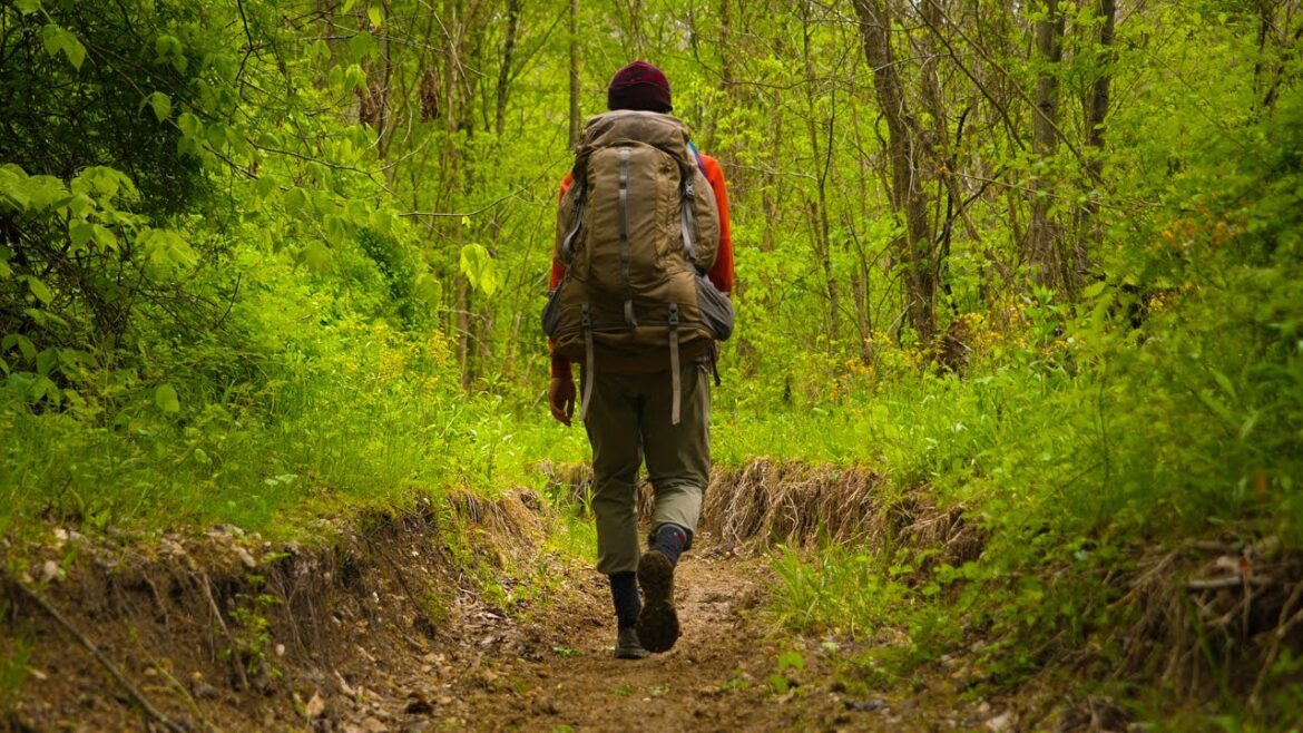 A Night Alone in the Woods