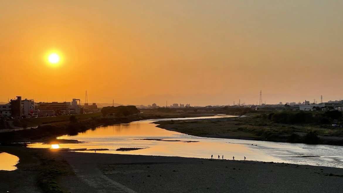 Live Tokyo Sunset Walk 🌇