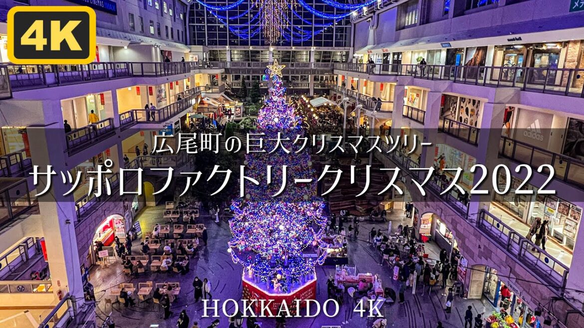 30周年を迎える高さ15mの巨大ツリーに5万球のLED サッポロファクトリークリスマス2022 30周年を迎える高さ15mの巨大ツリーに5万球のLED サッポロファクトリークリスマス2022