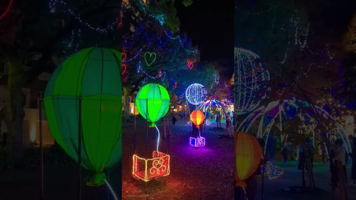 Hiroshima during Christmas 🇯🇵🎄 #japan