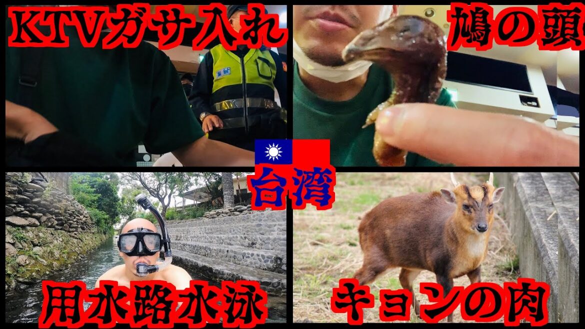 台湾⑪ 不良の溜まり場みたいな海老釣り場行ったら警察のガサ入った