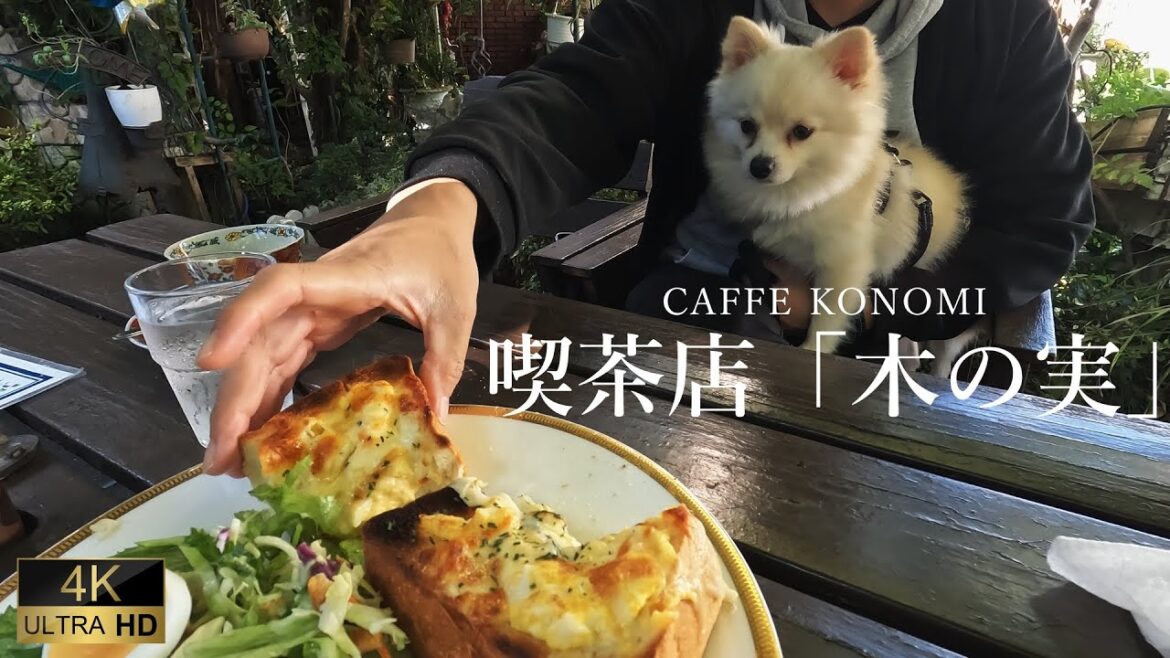 【4K JAPAN TRIP】Cafe Konomi in Chiba.  千葉県流山市の喫茶店「木の実」