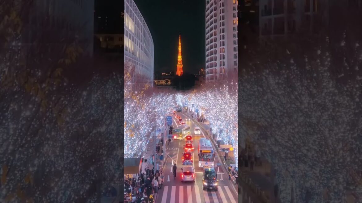 Catch the BEST winter illumination in #Tokyo happening NOW! Don’t miss it!