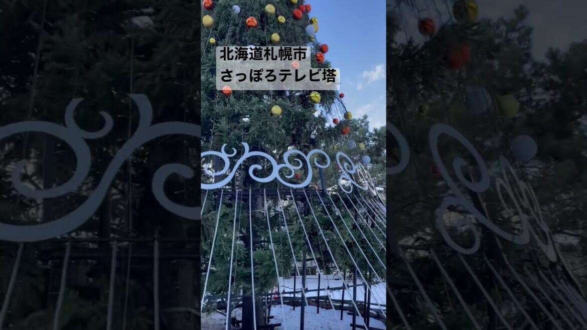 2022.12●さっぽろテレビ塔！/Sapporo Hokkaido,Japan.【北海道札幌市】#shorts