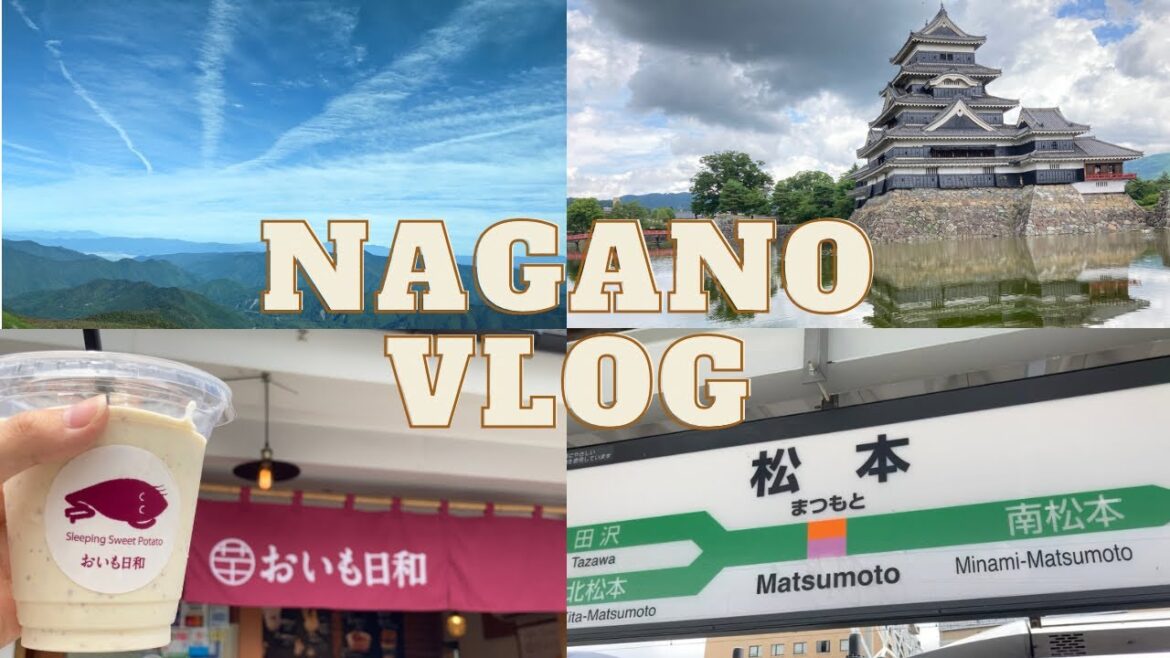 【vlog 】しばらく東京離れてました|長野県乗鞍高原満喫|Nagano|Mt.Norikura⛰