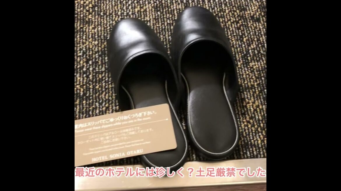 小樽運河が目の前！【全国旅行支援活用】ホテルソニア小樽　アンティーク調のロマンチックなお部屋カナルビューツイン宿泊記　Hotel sonia otaru,Hokkaido,Japan