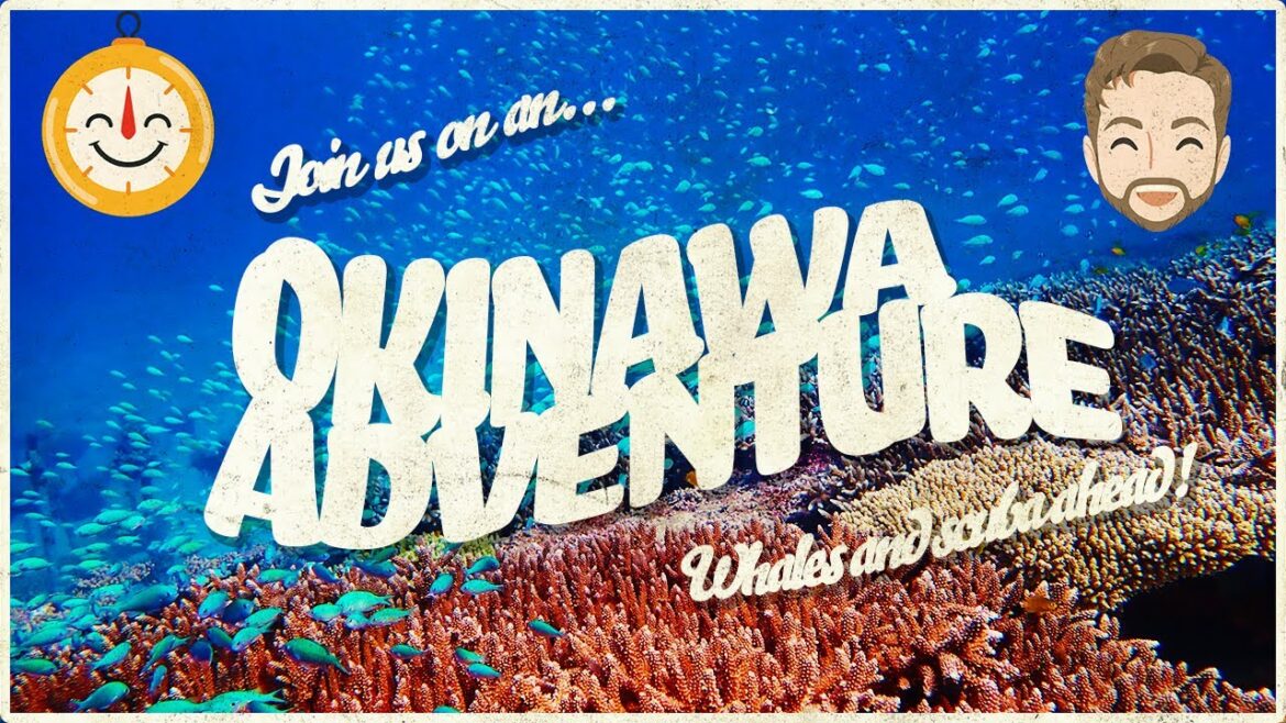 Whale Watching and Snorkeling in Okinawa Japan