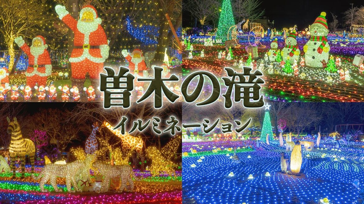 曽木の滝公園のイルミネーションが凄い。2022年から開催の新イベント！