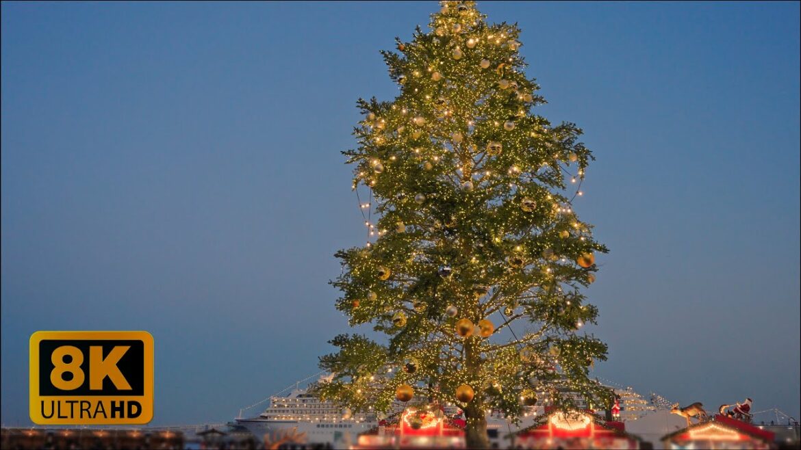 4K 8K 【みなとみらい】Yokohama Christmas Lights 2022