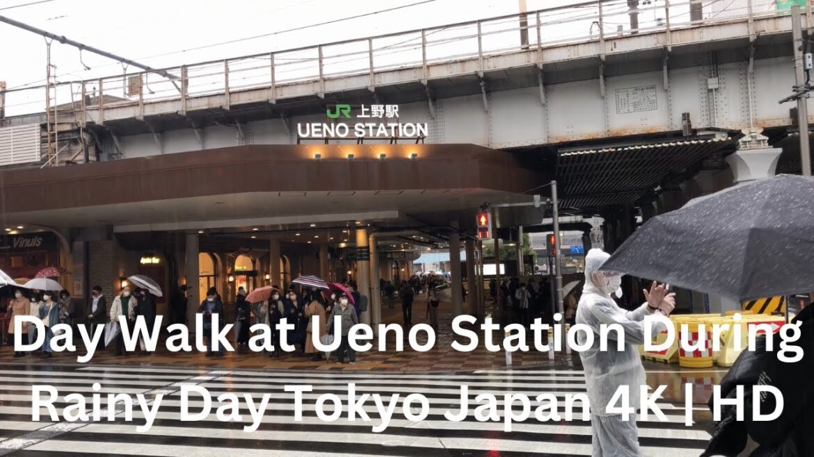 Day Walk at Ueno Station During Rainy Day. Tokyo Japan | 4K HD