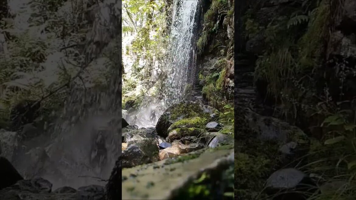 Destination Travels and Relaxation Videos