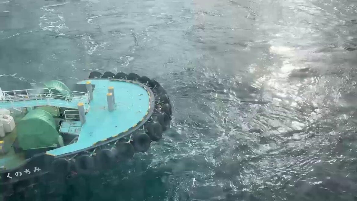 【ライブ配信アーカイブ】北海道 函館 津軽海峡フェリーで青森へ2  12/24