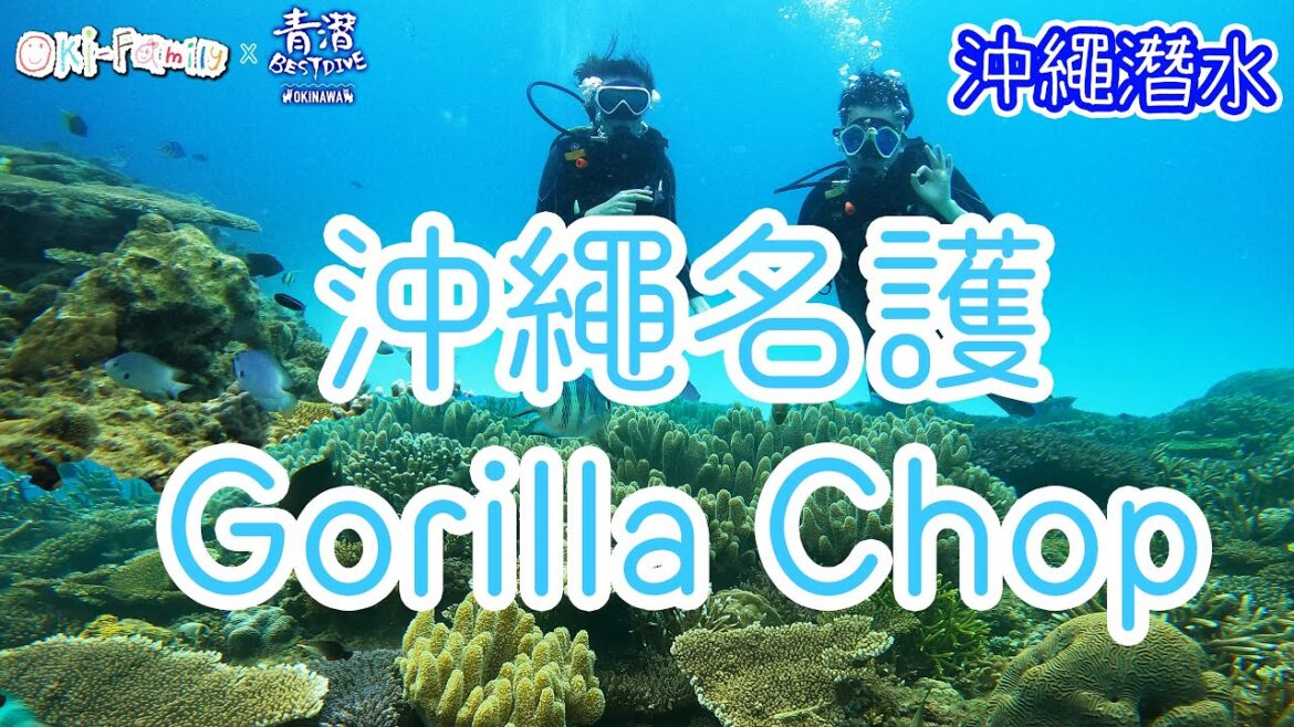 沖繩名護著名潛水地點 Gorilla Chop #沖繩潛水 #青潛  (OkiFamily 開始的潛水店)