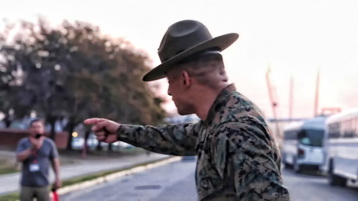 Military Clips Jumbled and Cleared From My Desktop (2020) Military Clips Jumbled and Cleared From My Desktop (2020)